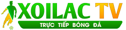 giá lăn bánh honda city